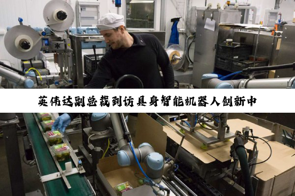英伟达副总裁到访具身智能机器人创新中心